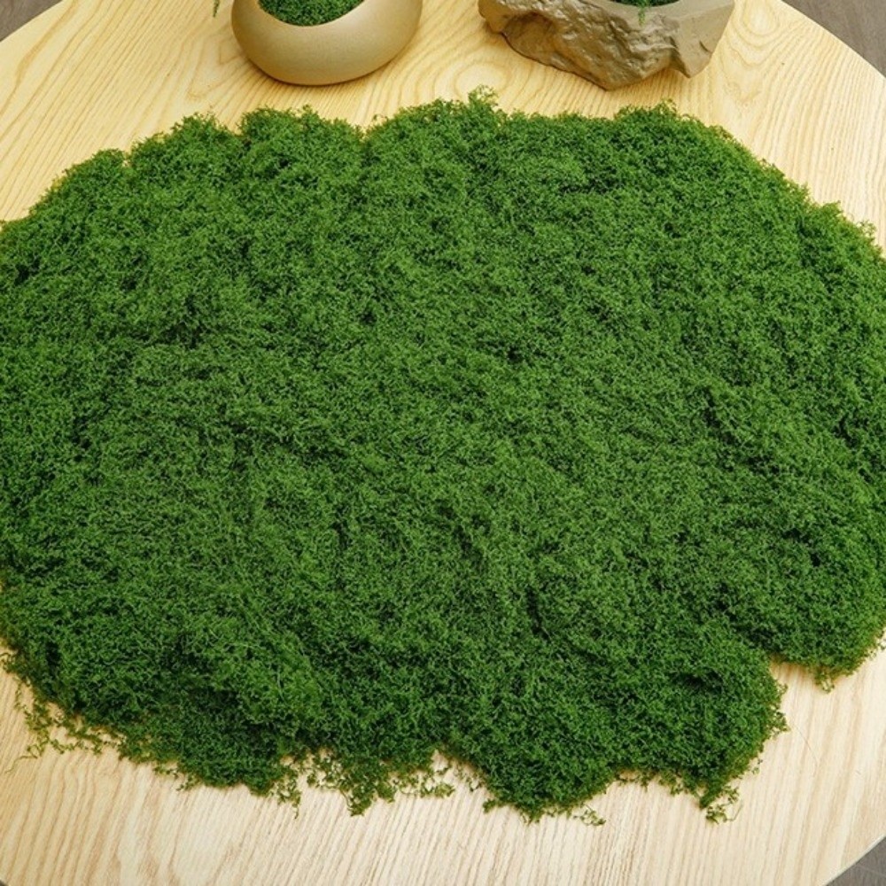 폴리에스터 인조 이끼 식물 DIY 공예품 사실적인 질감 - Terrarium Moss Art 리뷰 및 가격